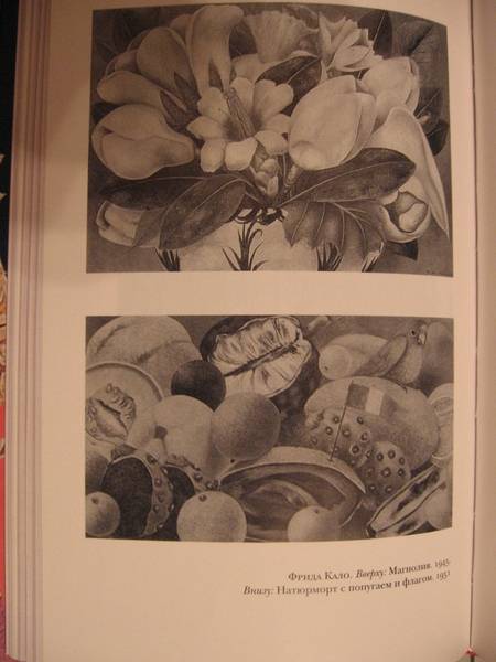 Иллюстрация 13 из 40 для Диего и Фрида - Жан-Мари Леклезио | Лабиринт - книги. Источник: К Е А
