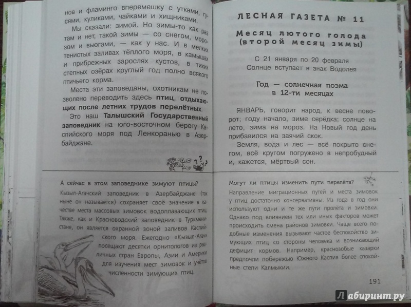 Иллюстрация 32 из 40 для Лесная газета - Виталий Бианки | Лабиринт - книги. Источник: Лабиринт