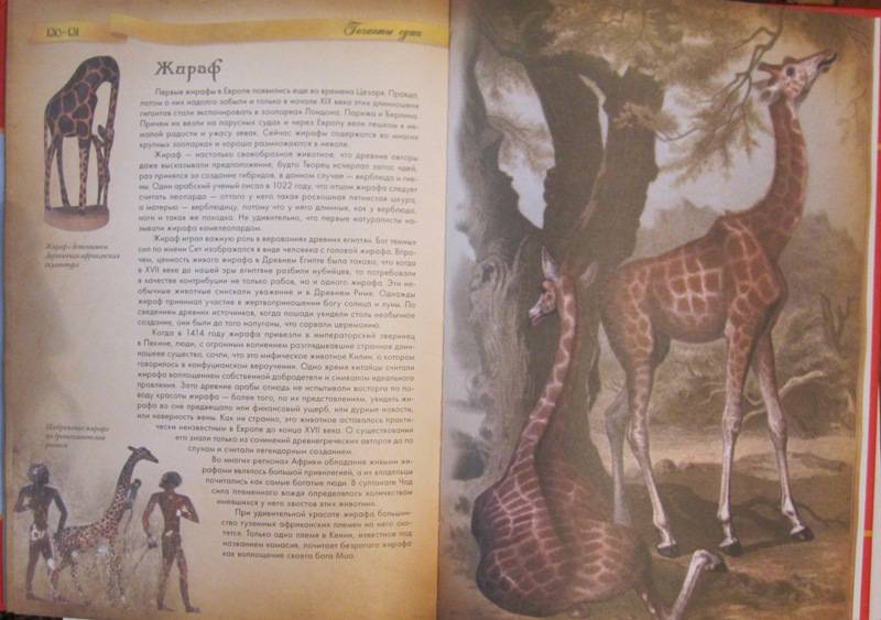 Иллюстрация 14 из 31 для Животные в мифологии - Андрей Гапченко | Лабиринт - книги. Источник: Velena