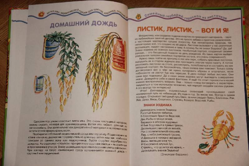 Иллюстрация 22 из 28 для Лесные поделки - Ирина Лыкова | Лабиринт - книги. Источник: Vilvarin  Laurea