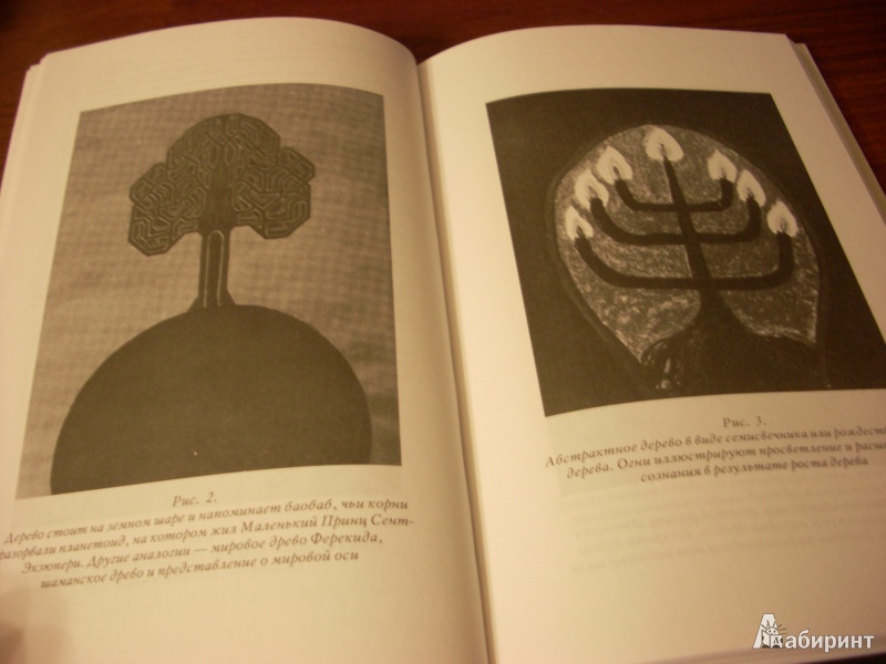 Иллюстрация 18 из 22 для Философское древо - Карл Юнг | Лабиринт - книги. Источник: Сытых  Елена