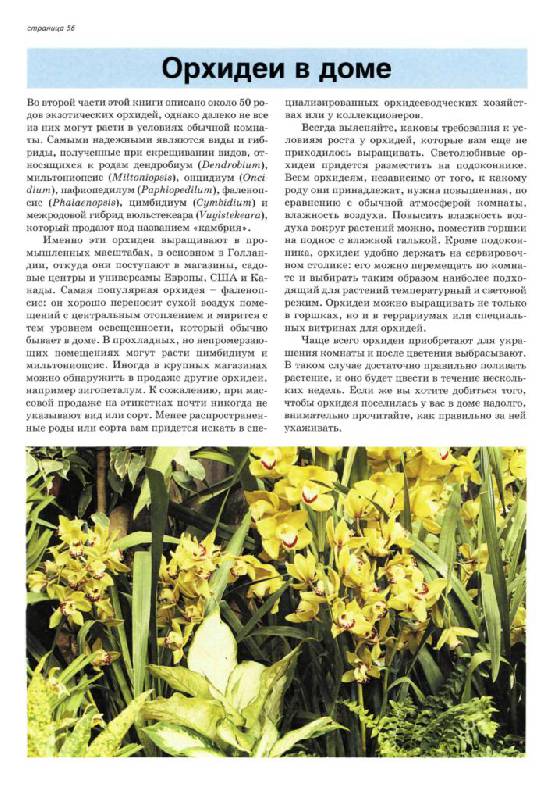 Иллюстрация 23 из 30 для Все об орхидеях - Дэвид Хессайон | Лабиринт - книги. Источник: Юта