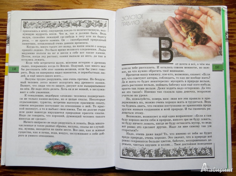Иллюстрация 8 из 30 для Великан на поляне, или Первые уроки экологической этики. Пособие для учащихся. ФГОС - Плешаков, Румянцев | Лабиринт - книги. Источник: Тарасова  Наталья