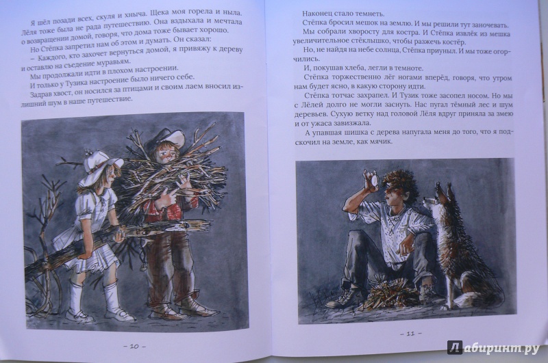 Иллюстрация 25 из 39 для Великие путешественники - Михаил Зощенко | Лабиринт - книги. Источник: Марина