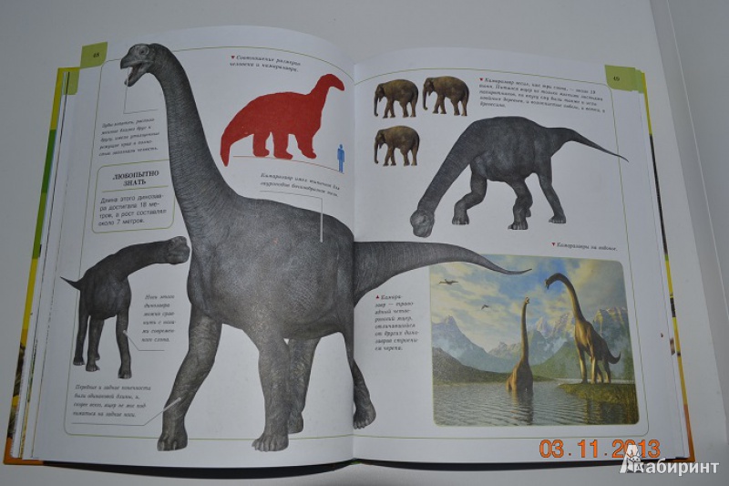 Иллюстрация 7 из 34 для Динозавры | Лабиринт - книги. Источник: Кочкина  Екатерина