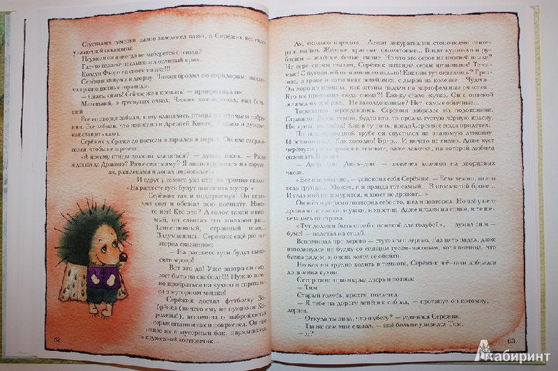 Иллюстрация 82 из 195 для Серёжик - Елена Ракитина | Лабиринт - книги. Источник: Букландия