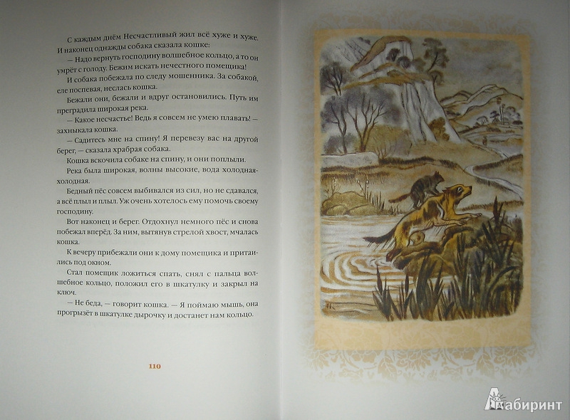 Иллюстрация 16 из 63 для Свадьба дракона: китайские сказки - Нисон Ходза | Лабиринт - книги. Источник: Трухина Ирина