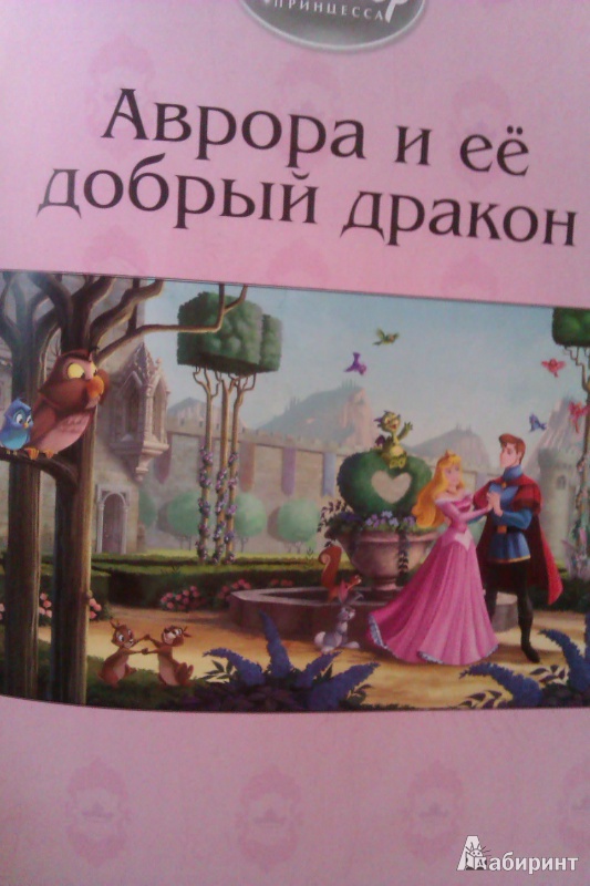 Иллюстрация 35 из 37 для Принцессы. Мечты сбываются. Моя самая большая книга | Лабиринт - книги. Источник: B