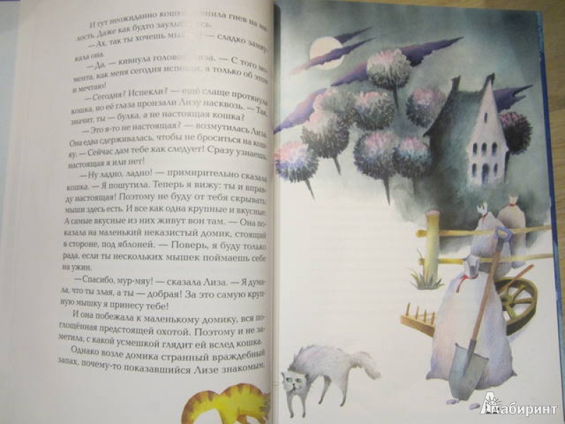 Иллюстрация 28 из 60 для Приключения сдобной Лизы и другие сказки - Виктор Лунин | Лабиринт - книги. Источник: Shona