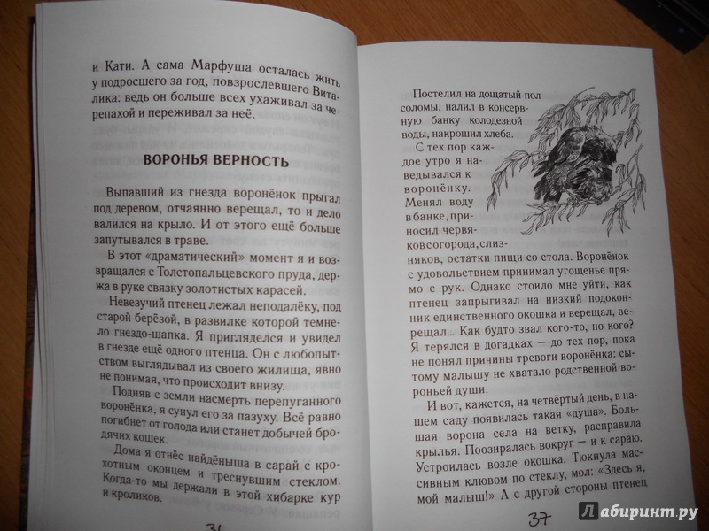 Иллюстрация 6 из 36 для Охотничья избушка - Николай Красильников | Лабиринт - книги. Источник: zaa_1978