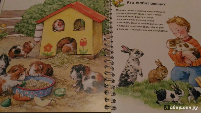 Иллюстрация 7 из 46 для Детский зоопарк - Анне Меллер | Лабиринт - книги. Источник: Чудинова  Ольга