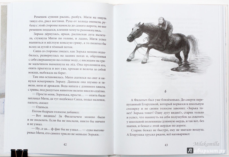 Иллюстрация 50 из 57 для Привет тебе, Митя Кукин! - Лев Кузьмин | Лабиринт - книги. Источник: Букландия