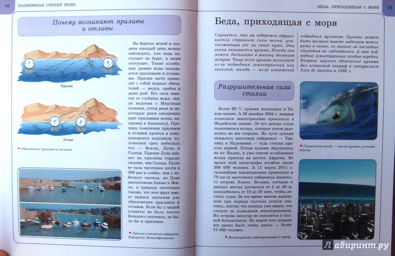 Иллюстрация 16 из 23 для Подводный мир - Анна Спектор | Лабиринт - книги. Источник: Соловьев  Владимир