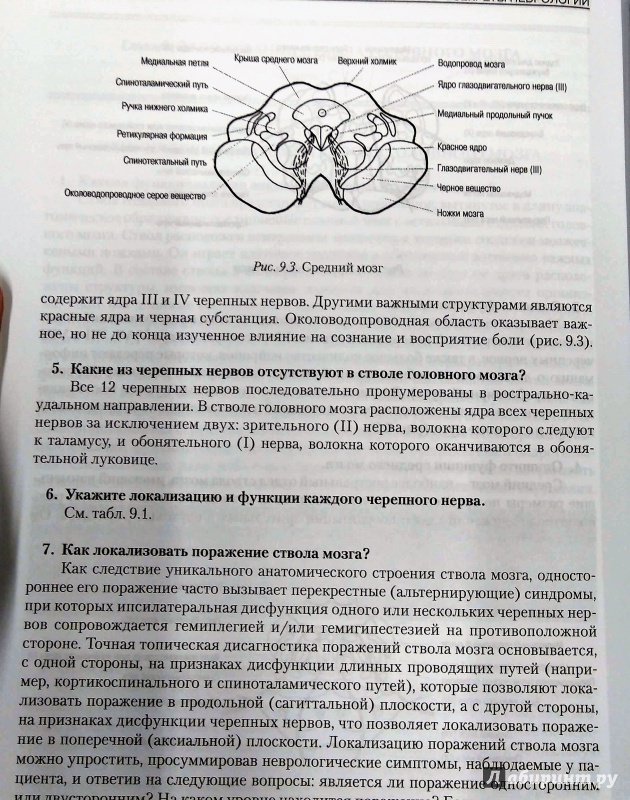 Иллюстрация 15 из 24 для Секреты неврологии - Лоран Ролак | Лабиринт - книги. Источник: Савчук Ирина