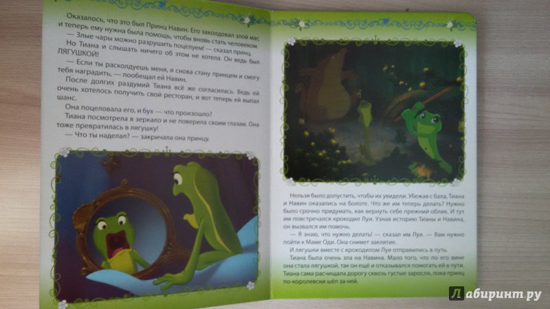 Иллюстрация 20 из 23 для Принцесса и лягушка | Лабиринт - книги. Источник: ТанюшаК