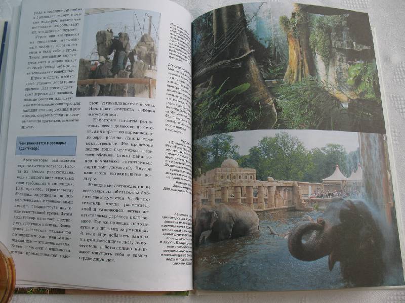 Иллюстрация 26 из 27 для Звери в зоопарке - Андреа Мертини | Лабиринт - книги. Источник: tayana
