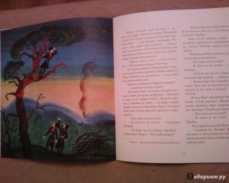 Иллюстрация 42 из 49 для Волшебный сад | Лабиринт - книги. Источник: Родионова  Надежда