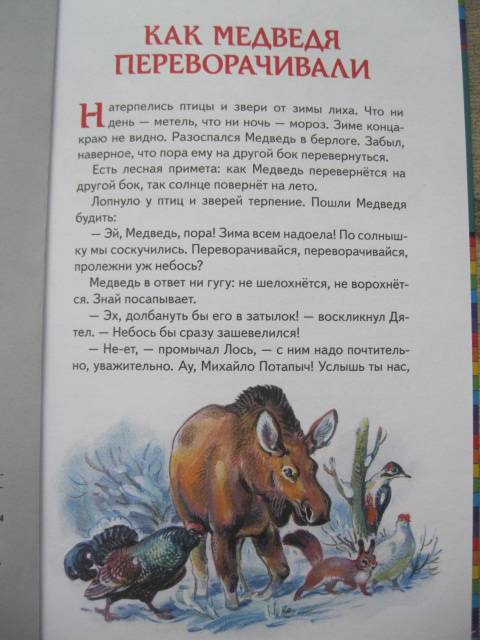 Иллюстрация 12 из 46 для Лесные сказки - Николай Сладков | Лабиринт - книги. Источник: NINANI