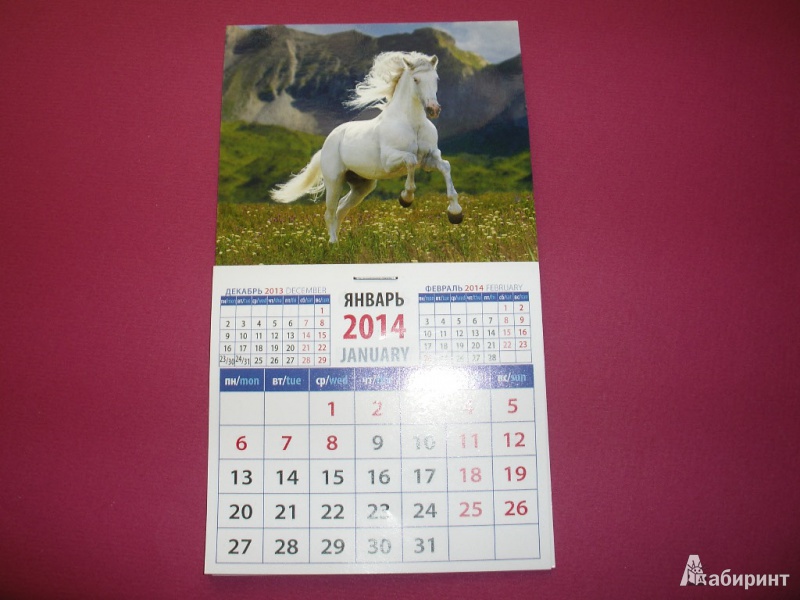 Иллюстрация 4 из 9 для Календарь на 2014 год "Год лошади. Лошадь на фоне гор". Магнитный (20434) | Лабиринт - сувениры. Источник: Tiger.