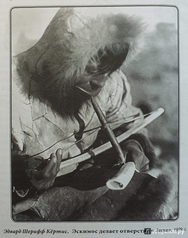 Иллюстрация 25 из 34 для Камчатские экспедиции - Витус Беринг | Лабиринт - книги. Источник: polaris