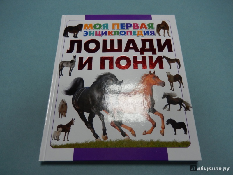 Иллюстрация 2 из 8 для Лошади и пони - Анна Спектор | Лабиринт - книги. Источник: dbyyb