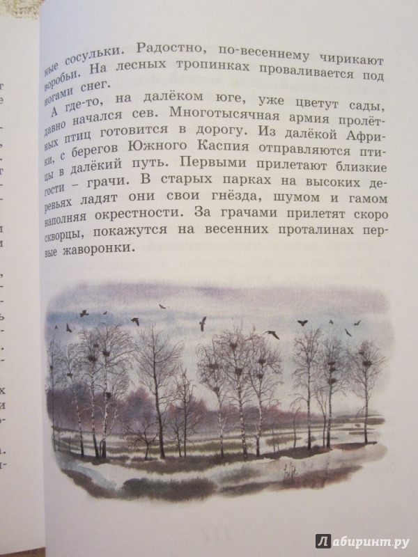 Иллюстрация 13 из 32 для Домик в лесу - Иван Соколов-Микитов | Лабиринт - книги. Источник: ЮлияО