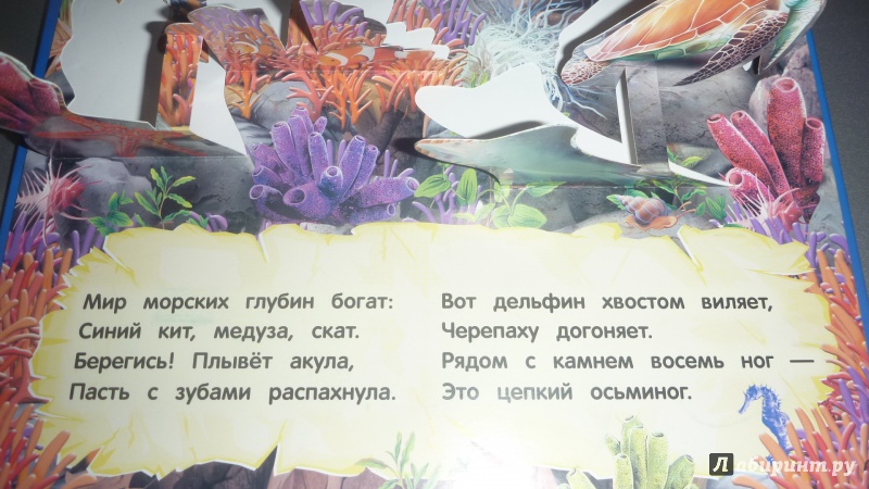 Иллюстрация 9 из 10 для Дикие животные - Таисия Мазаник | Лабиринт - книги. Источник: Лемещенко  Виктория Владимировна