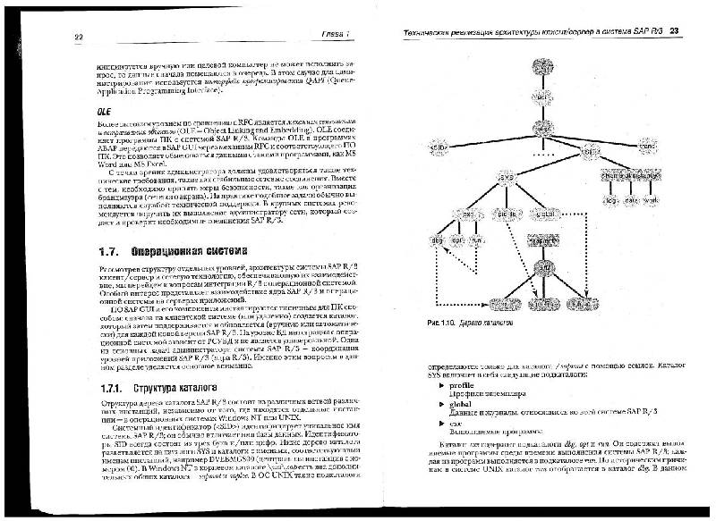 Иллюстрация 13 из 15 для SAP R/3 Системное администрирование - Хагеман, Вилл | Лабиринт - книги. Источник: knigoved