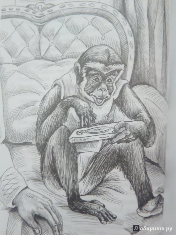 Рисунок про обезьянку житков. Житков про обезьянку 3 класс.