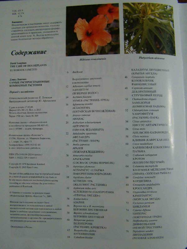 Иллюстрация 22 из 23 для Самые распространенные комнатные растения - Дэвид Лонгман | Лабиринт - книги. Источник: Easy