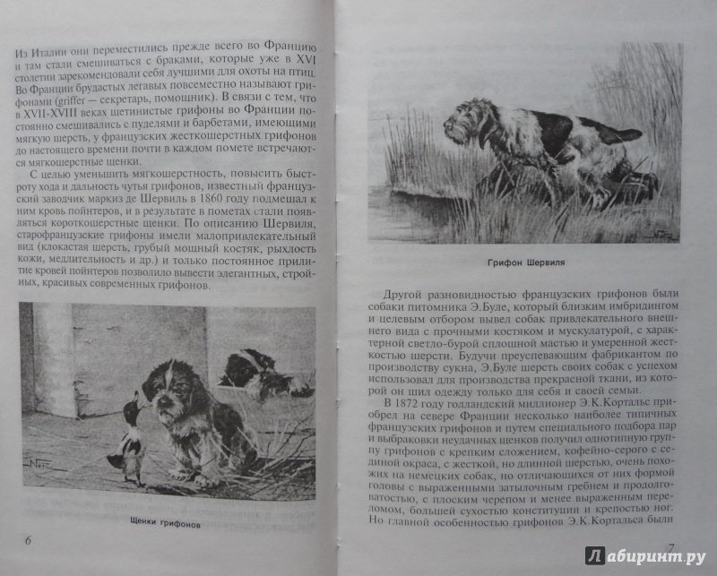 Иллюстрация 19 из 25 для Охота с дратхааром - Алексей Лопатин-Бремзен | Лабиринт - книги. Источник: SiB