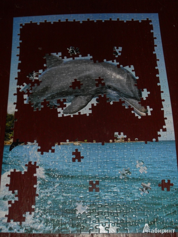 Иллюстрация 2 из 3 для Puzzle 500 элементов, "Дельфин" (B-51731) | Лабиринт - игрушки. Источник: Klementinka
