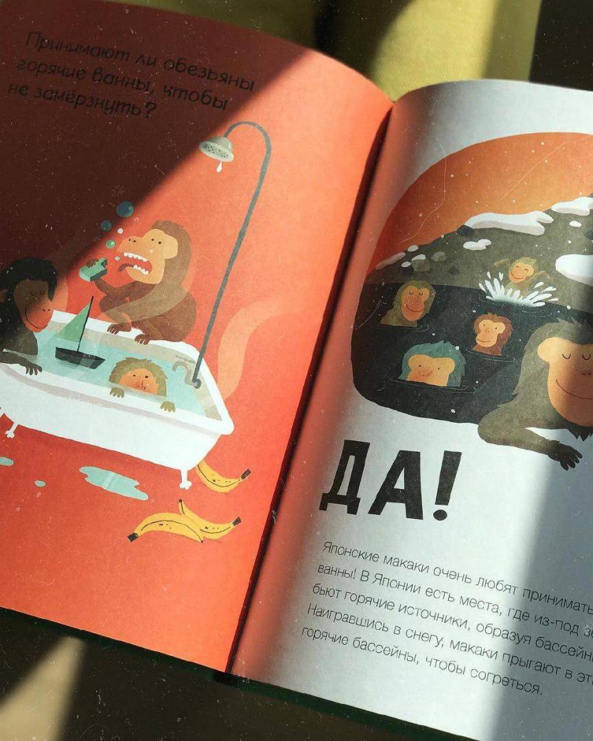 Иллюстрация 38 из 73 для Пьют ли лягушки горячее какао? - Канер, Мартц | Лабиринт - книги. Источник: Отзывы читателей