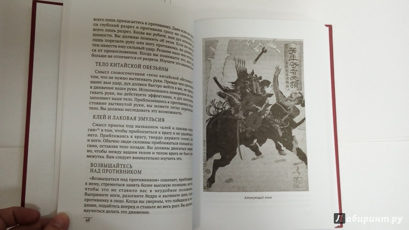 Иллюстрация 18 из 53 для Книга пяти колец - Миямото, Сохо | Лабиринт - книги. Источник: Черная  Ксения