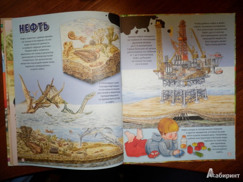 Иллюстрация 13 из 29 для Необыкновенная история обыкновенных вещей | Лабиринт - книги. Источник: sunrab