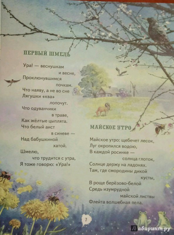 Иллюстрация 6 из 15 для Зеленая карета - Валерий Кастрючин | Лабиринт - книги. Источник: Ракова  Ирина