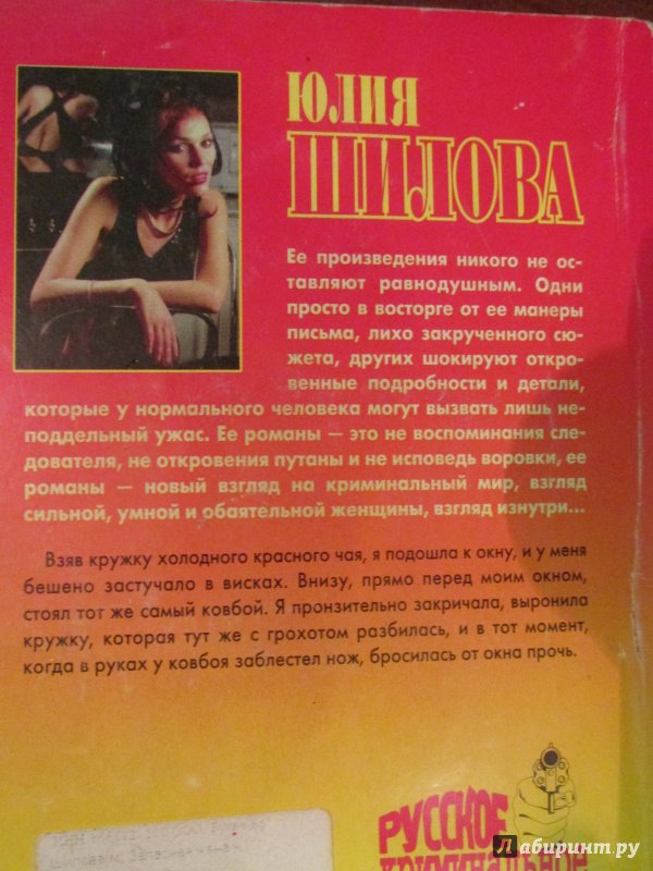Иллюстрация 6 из 11 для Запасная жена - Юлия Шилова | Лабиринт - книги. Источник: Novichok