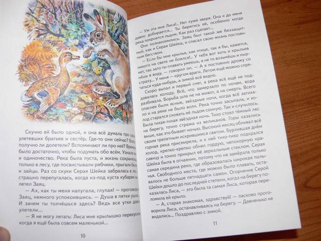 Иллюстрация 26 из 54 для Серая Шейка - Дмитрий Мамин-Сибиряк | Лабиринт - книги. Источник: Irbis