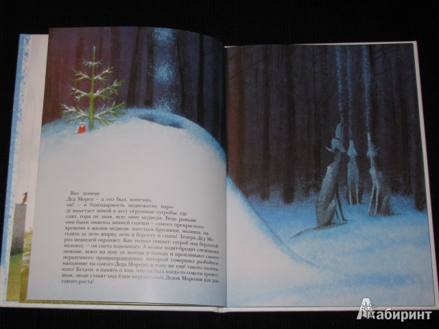 Иллюстрация 30 из 40 для Как Дед Мороз на свет появился - Москвина, Седов | Лабиринт - книги. Источник: Nemertona