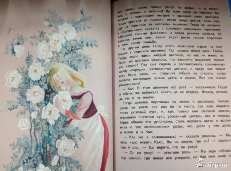 Иллюстрация 42 из 44 для Снежная королева - Ганс Андерсен | Лабиринт - книги. Источник: ELOIZA