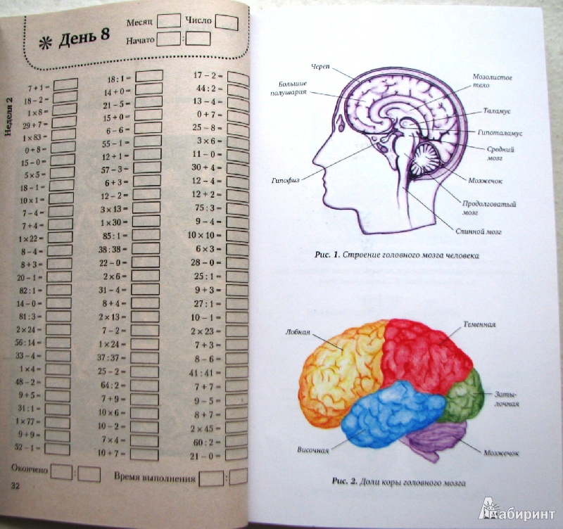 Иллюстрация 3 из 43 для Книга-тренажер для вашего мозга - Антон Могучий | Лабиринт - книги. Источник: Mamulechka