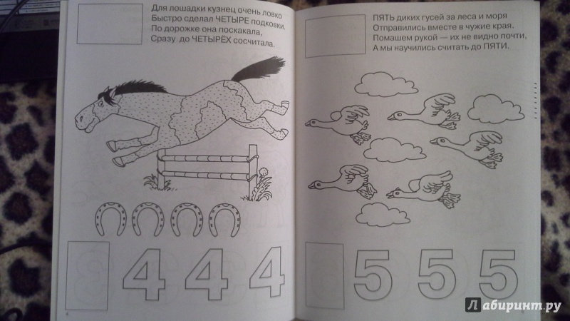 Иллюстрация 2 из 4 для Счет с крупными цифрами - Екатерина Виноградова | Лабиринт - книги. Источник: Теплова  Юлия