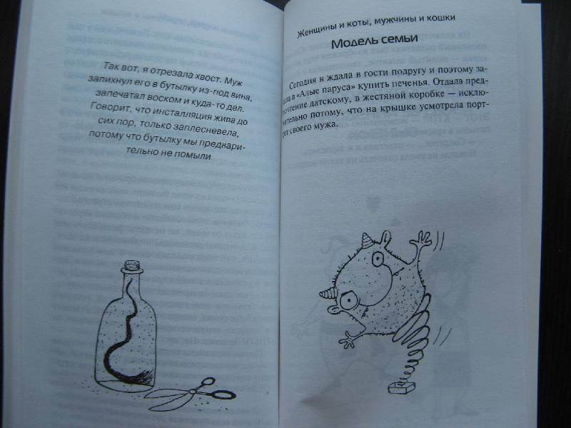 Иллюстрация 31 из 34 для Женщины и коты, мужчины и кошки - Марта Кетро | Лабиринт - книги. Источник: Ольга