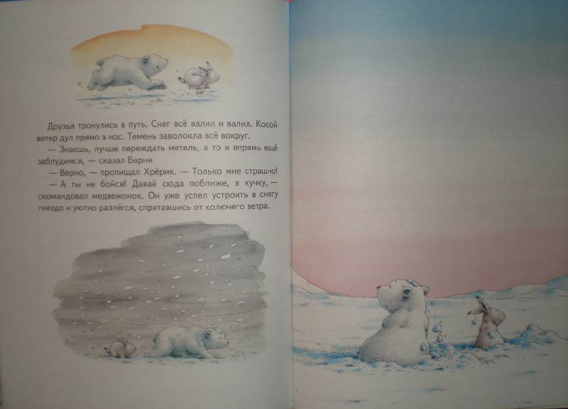 Иллюстрация 30 из 86 для Барни, белый медвежонок - Беер Де | Лабиринт - книги. Источник: Гостья