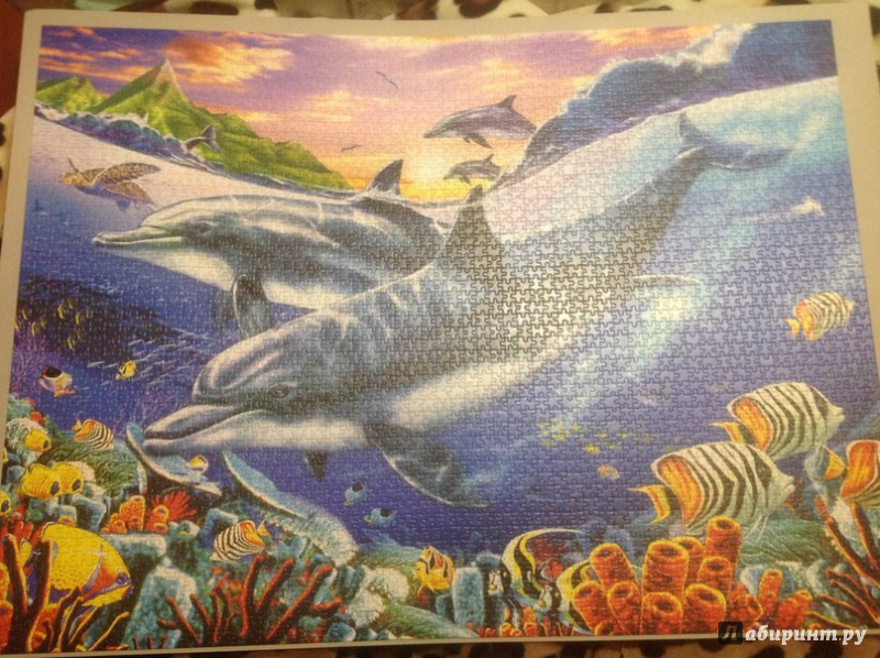 Иллюстрация 15 из 15 для Лагуна дельфинов, 3000 деталей (C-300259-М) | Лабиринт - игрушки. Источник: Иванов  Игорь Александрович