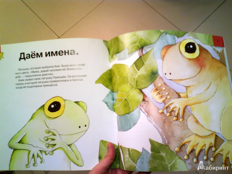 Иллюстрация 2 из 6 для Твоя лягушка. Уход за домашним любимцем - Алехандро Альгарра | Лабиринт - книги. Источник: Мила