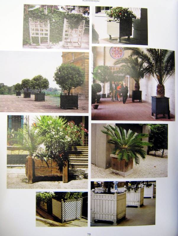 Иллюстрация 9 из 10 для 1000 идей для сада - Стэффорд Клифф | Лабиринт - книги. Источник: Спанч Боб