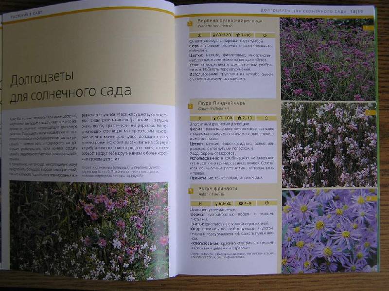 Иллюстрация 7 из 12 для Идеальные растения для вашего сада - Хаген, Борстель | Лабиринт - книги. Источник: olga_k