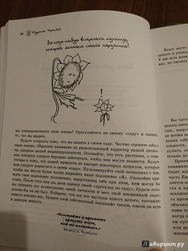 Иллюстрация 9 из 19 для Мудрость Черепахи - Донна Деномм | Лабиринт - книги. Источник: Melaschka