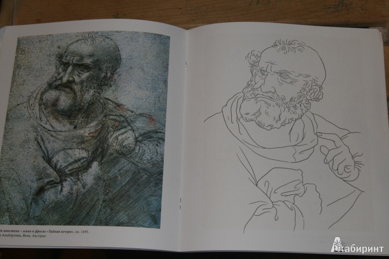 Иллюстрация 20 из 32 для Леонардо да Винчи | Лабиринт - книги. Источник: Кабанова  Ксения Викторовна